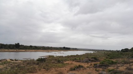 Kruger National Park river