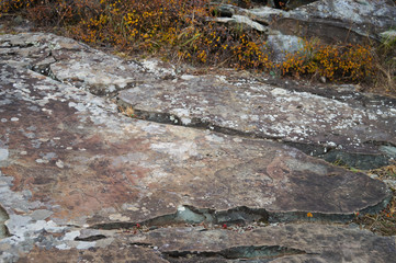 Petroglyphs with scene of hunting at Kalbak-Tash,Russia.
