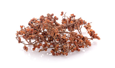 Zanthozylum limonella Alston on white background