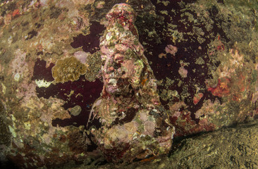 Underwater statue of Lord Shiva at Swami Rock Trincomalee Sri Lanka. 