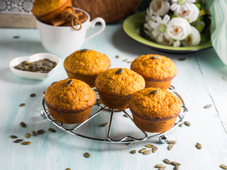 Pumpkin whole wheat muffins for breakfast on turquoise background
