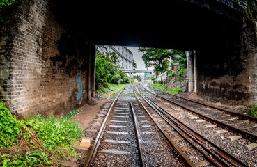 Fototapeta na wymiar Railway Tunnel in Sri Lanka, Colombo