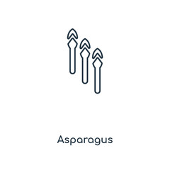 asparagus icon vector