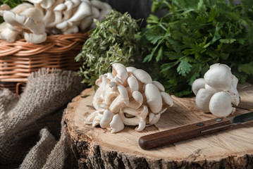 Raw oyster mushrooms with knife on the cross section of the big old tree on a rustic table. basket with mushrooms and fresh herbs in the background