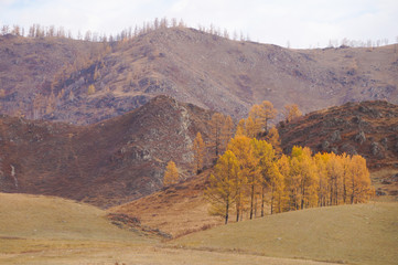 Beautiful view on the way from Chemal district to Aktash,Russia.