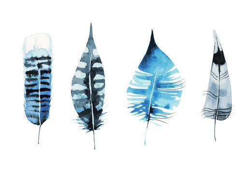 vector colorful watercolor feather set