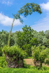 Beautiful view near Plattling-Bavaria-Germany