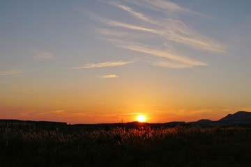 日没の夕日に映えるススキの光景