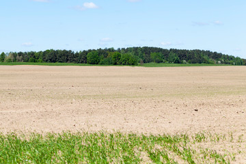 plowed field