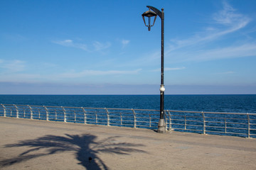 Obraz premium The shadow of a palm tree falls in front of a lamppost on the Corniche Beirut, a seaside promenade and waterfront esplanade in Beirut, Lebanon. With room for text and space for copy.