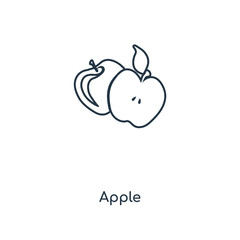 apple icon vector