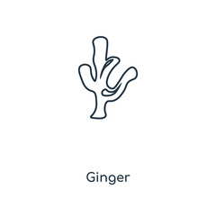 ginger icon vector