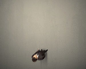 Young businessman contemplating a decision standing on a grey surface