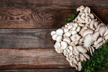 Wooden tray with raw oyster mushrooms on wooden table. Copy space for your text. Banner.