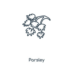 parsley icon vector
