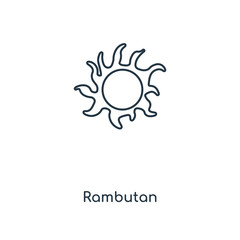 rambutan icon vector