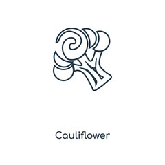 cauliflower icon vector