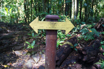 A hiking trail marker indicating a fork in the road, and that you can go in both directions, in the rain forest in Gamboa, Panama Canal Zone, Panama