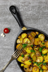 Russian freshness fried potatoes with mushrooms and onion in iron pan with mushroom, cherry tomatoes at gray background