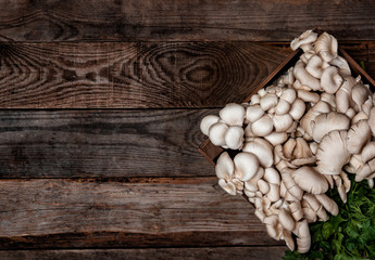 Wooden tray with raw oyster mushrooms on wooden table. Copy space for your text. Banner.