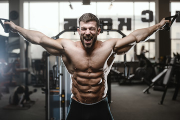 Naklejka na ściany i meble Brutal strong bodybuilder athletic men pumping up muscles with dumbbells