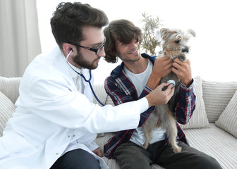 Loving owner with a Yorkshire terrier in the office of a veterinarian