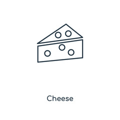 cheese icon vector