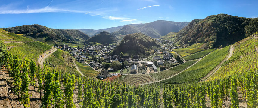 Panorama der Weinfelder um Mayschoss auf dem Rotweinwanderweg im Ahrtal