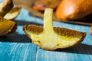 weeping bolete mushrooms on baking paper, old blue wood table