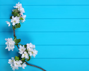 Spring blossom on blue wood