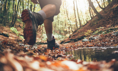 Low angle view of hiker crossing the forest stream in autumn - Powered by Adobe