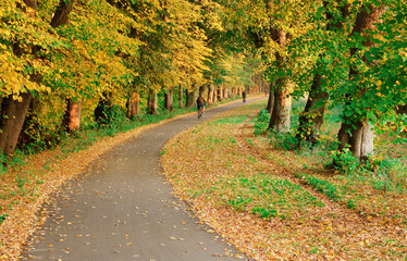Fototapeta na wymiar Autumn in Denmark