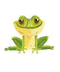 green frog on white background