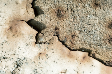 Old retro antique wall