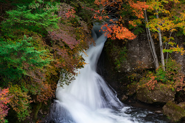 紅葉の中を流れ落ちる優雅な滝
