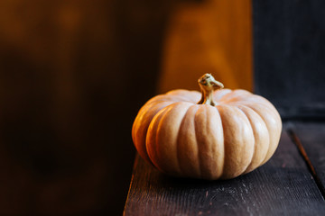 halloween pumpkin on wooden background