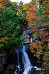 色とりどりの紅葉と滝のコラボレーション