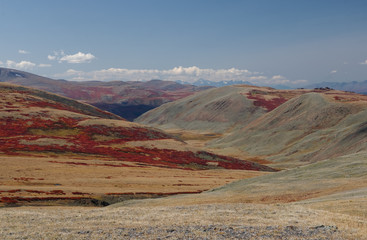 highland steppe valley with dry yellow grass on the background of rocky mountains under clear sky