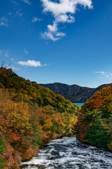 Fototapeta na wymiar 紅葉した木々と川とその先の湖