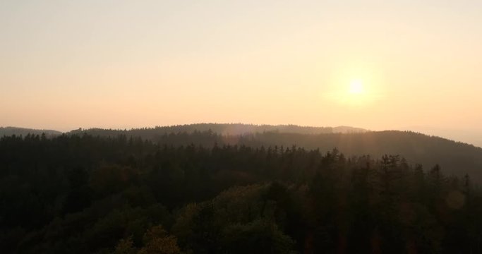 Diesige Waldlandschaft im Sonnenuntergang