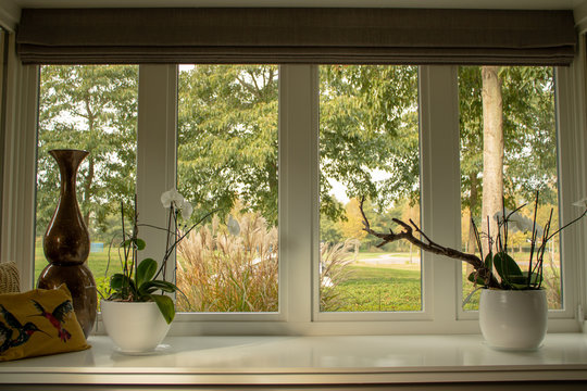 Bay window house
