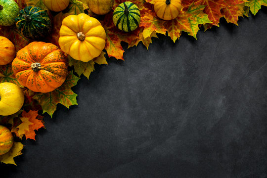 Fall dark stone background with autumn leaves and little pumpkins, top view and copy space