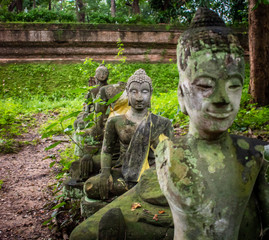 Statue of buddha, Wat Umong Suan Phutthatham