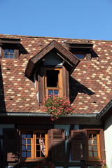 Dachgaube mit Blumenkasten