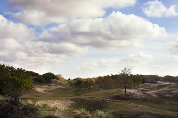 Fototapeta premium Beautiful view on the coastal area of the Waterleidingduinen, near Amsterdam, the Netherlands. Ideal place for walking and enjoying nature throughout the year