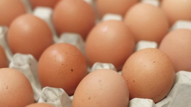 Group of fresh eggs in pater tray