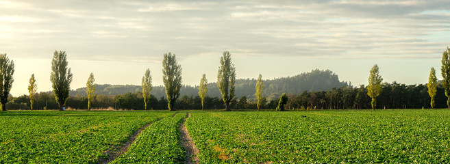 Feld und Acker