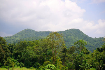 Scenery landscape beautiful of mountain and green forest at Suan phueng, Ratchaburi, Thailand.