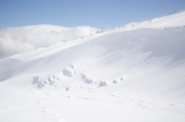 Obraz premium EXCURSION A LA NIEVE