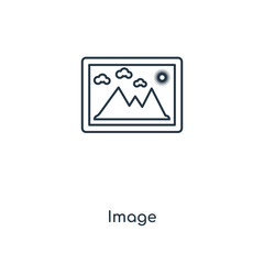 image icon vector
